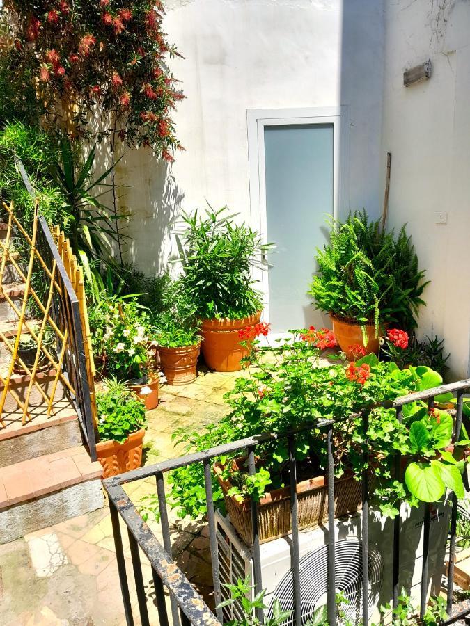 Casa Marina Bed and Breakfast Forio di Ischia Exteriör bild